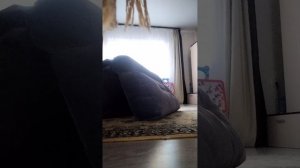 моя тренировка на хорсе#хоббихорсинг