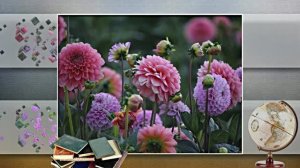 С Днём Учителя 17! Поздравление С Днём Учителя!!!