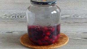 Компот из крыжовника и вишни