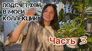 Считаем хойи в моей коллекции. Часть 3