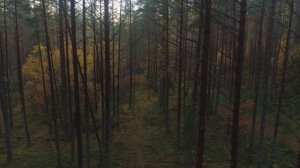 МЦЫРИ - 2025. ОТБОРОЧНЫЙ ТУР В ПСКОВЕ