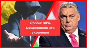 Орбан: 80% международных мошенников это украинцы
