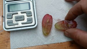 г.ф. Диксон Бурдака А.В. на 05.10.2025 года