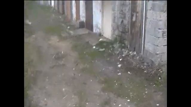 ЧТО МОЖНО НАЙТИ НА ПОМОЙКАХ смотреть онлайн