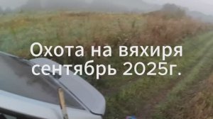 Охота на вяхиря 2025 год