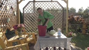 6 соток 30 сентября 2025 года. 2 часть. Щаница.