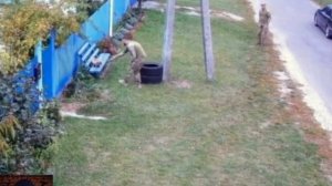 За котом который не сел на колено приехали из ТЦК