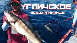 ЛОВЛЯ СУДАКА на Угличском водохранилище. Спиннинг с лодки