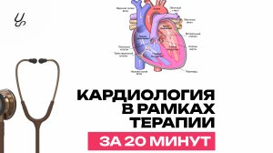 Кардиология в рамках терапии