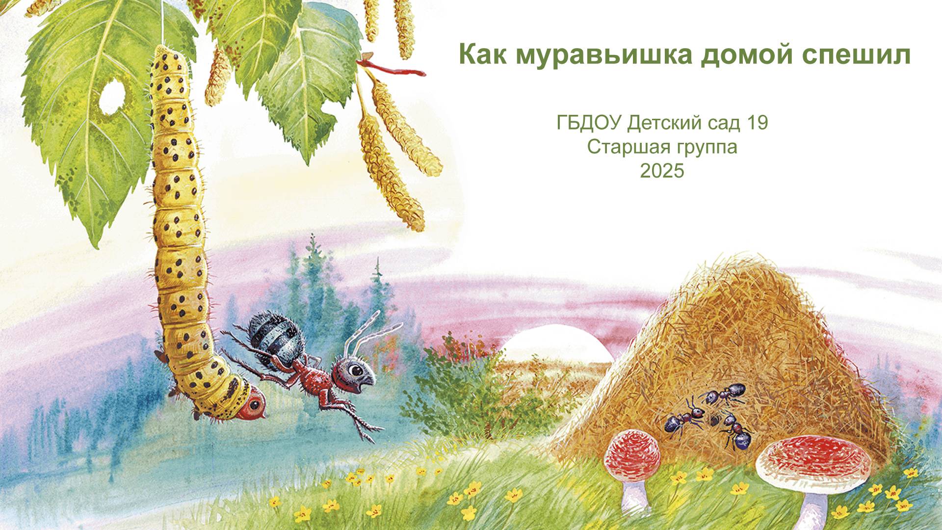 Музыкальная сказка «Как муравьишка домой спешил». Старшая группа. 12 сентября 2025 г.