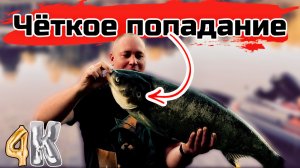 «Соложа, сентябрь и крупный улов: как добыть трофей, несмотря ни на что!