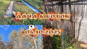 ДАЧА 6 СОТОК Life//ГОСТЬ РЫХЛИТ ГРЯДКИ//ДЕНЬ ЗАЛИВКИ ДЕРЕВЬЕВ//ЗАБРОШЕННАЯ ДАЧА
