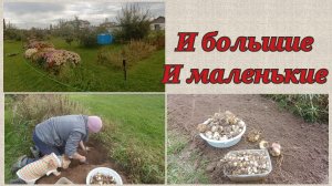 Я сегодня археолог 🙂