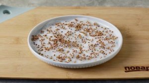 Микрозелень в домашних условиях без земли