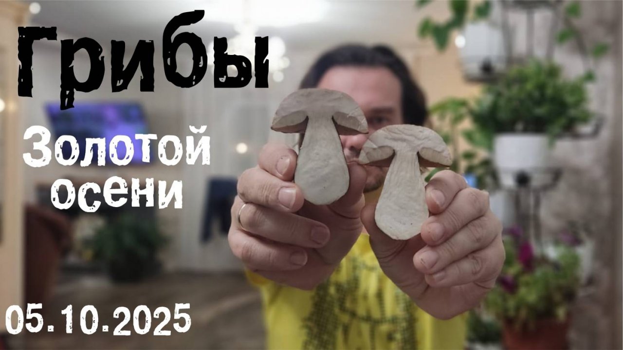 Грибы золотой осени  05.10.2025 смотреть онлайн