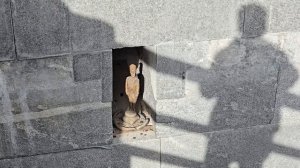 Санкт Петербург Спб