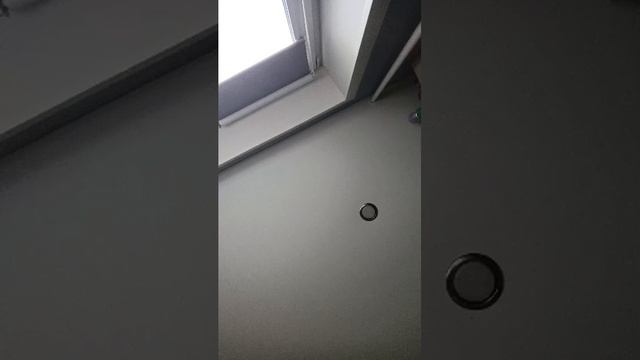 играем в роблокс
