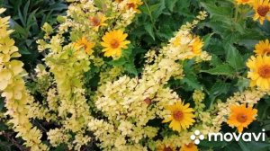 Весь сезон 2023. Лазарево