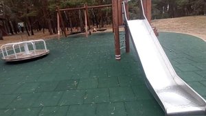 А мы в Эко-парк,а там:павлины,белочки и гармония!