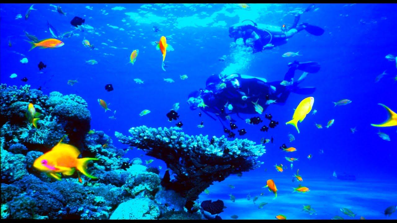 Красное море, Элат смотреть онлайн