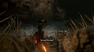 Rise of the Tomb Raider 18