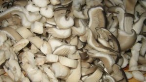 Капуста с вешенками