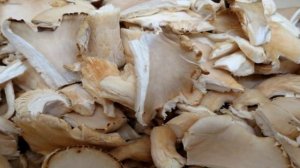 Крем-суп из вешенок