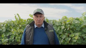 Закладываем урожай наперед – опыт BINOM в «Виноградном»