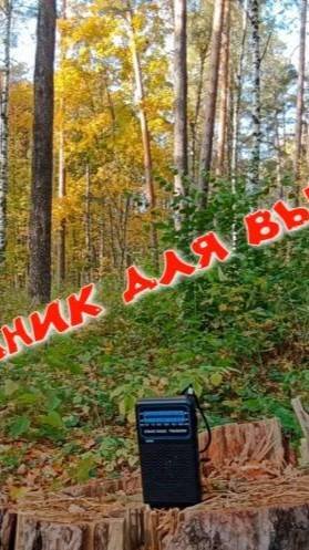 Радиоприемник для выживальщика.