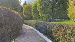 Vivo X200 FE: съёмка в 4К@60к/с на основную камеру с OIS