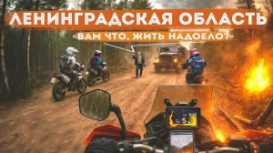 Военные приказали убраться! Едем к месту прорыва линии Маннергейма.