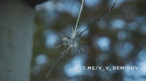 Новости Старого Оскола от 6 октября