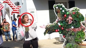 Bushman undercover as a Christmas tree _Bushman prank