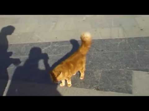 Судак- Новый Свет- Горячий источник ноябрь 2019 г. смотреть онлайн