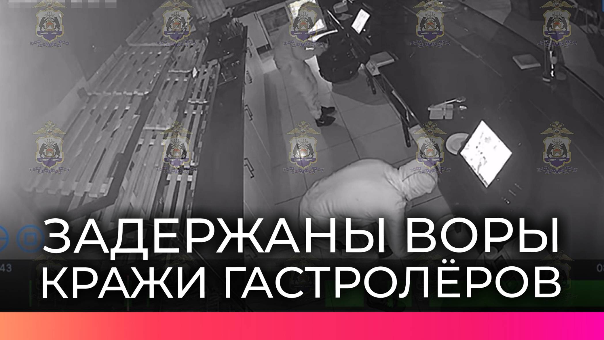 Новгородские оперативники поймали подозреваемых в серии краж в торговом центре