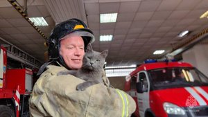 🚒Служба, ставшая жизнью...