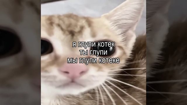 мы.
