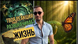 Твоя реакция разворачивает жизнь