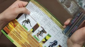 Настройка Вариант В (ранее А-про) (2)