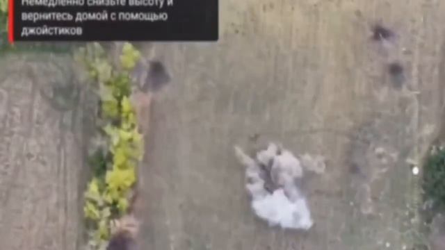Очередным ВСУшникам не повезло…❌