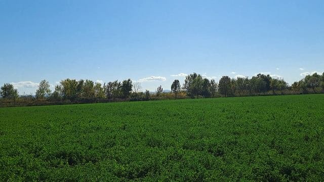 Нас специально  стравили,но мы всеравно будем вместе !!!