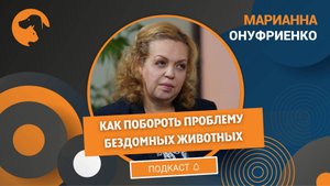 Ответственное отношение к питомцам: как искоренить проблему бездомных животных