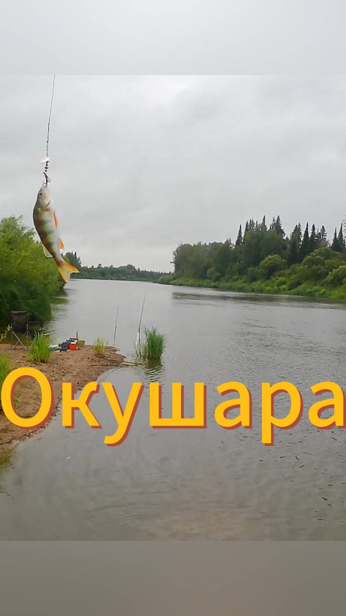 Достал Окушару в прямом эфире