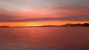 Рыбалка на леща на Черемшане! #рыбалка #фидер #лещ #река #природа