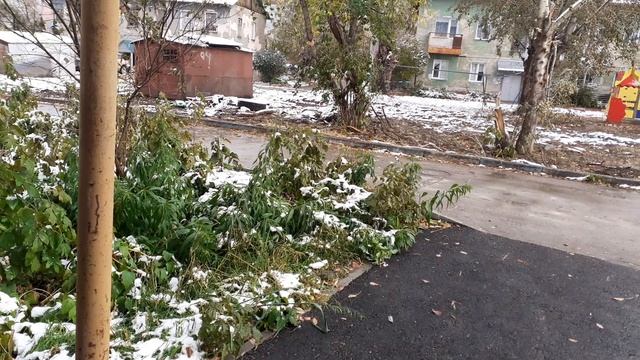 Тишка на улице.