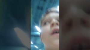 прятки в Мисти парке