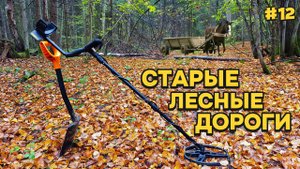 В ПОИСКЕ СТАРЫХ лесных ДОРОГ. Костер в сыром лесу. ЗАБЛУДИЛСЯ #12