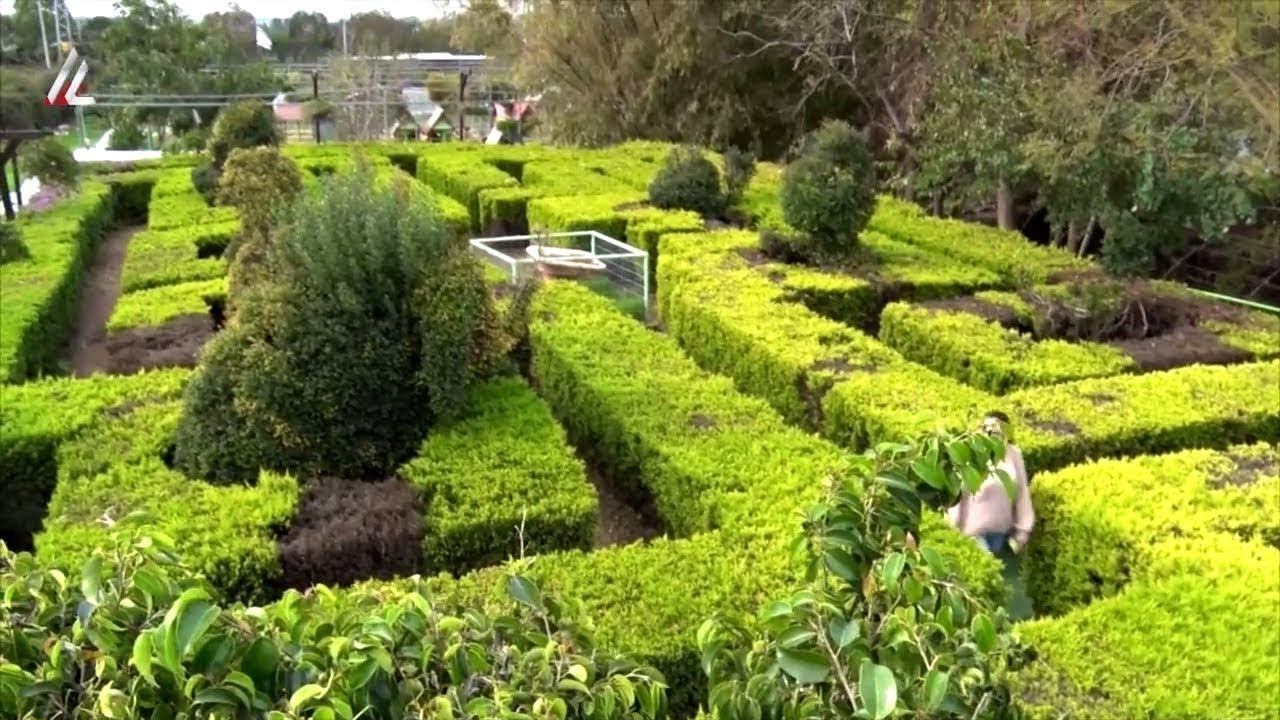 Парк Утопия смотреть онлайн