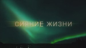 Сияние Жизни. КиноХоровод 2025