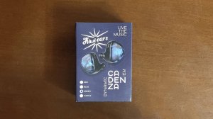 Kiwi EarsCadenza. Массовый вайб.